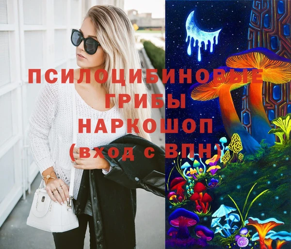 гидра Шадринск