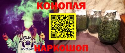 шишки Бийск