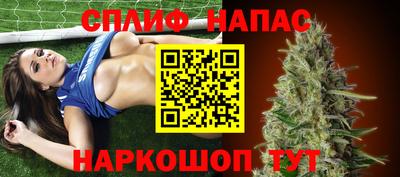 шишки Бийск