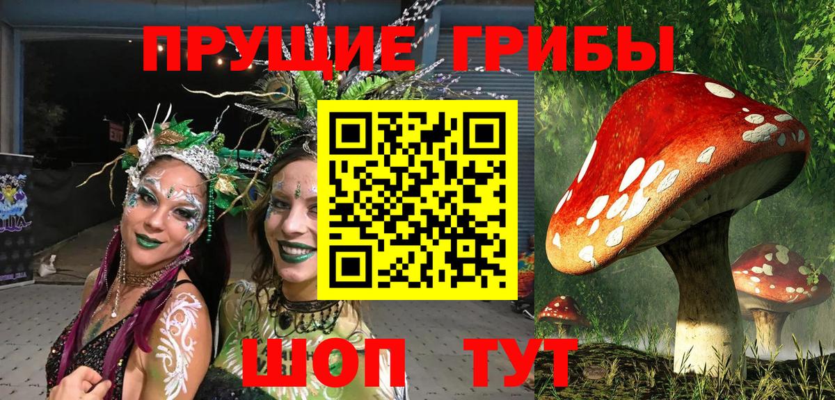 Псилоцибиновые грибы Psilocybe  Вход с VPN  Ярославль  Псилоцибиновые грибы Psilocybe 