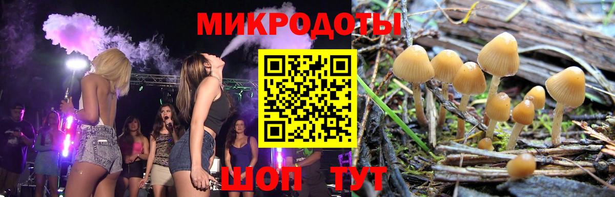 Псилоцибиновые грибы Magic Shrooms Ярославль